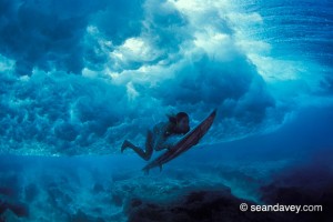 Photo by Sean Davey Duck Dive (Photo By Sean Davey)