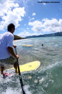 SUP at surf spots (Endless Adventures)