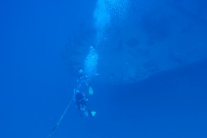 Sea Tiger Scuba Dive Site Oahu Hawaii