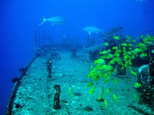 YO-257 Shipwreck from Ocean Legends