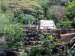 6C Waimea Valley