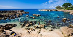 7 Sharks Cove