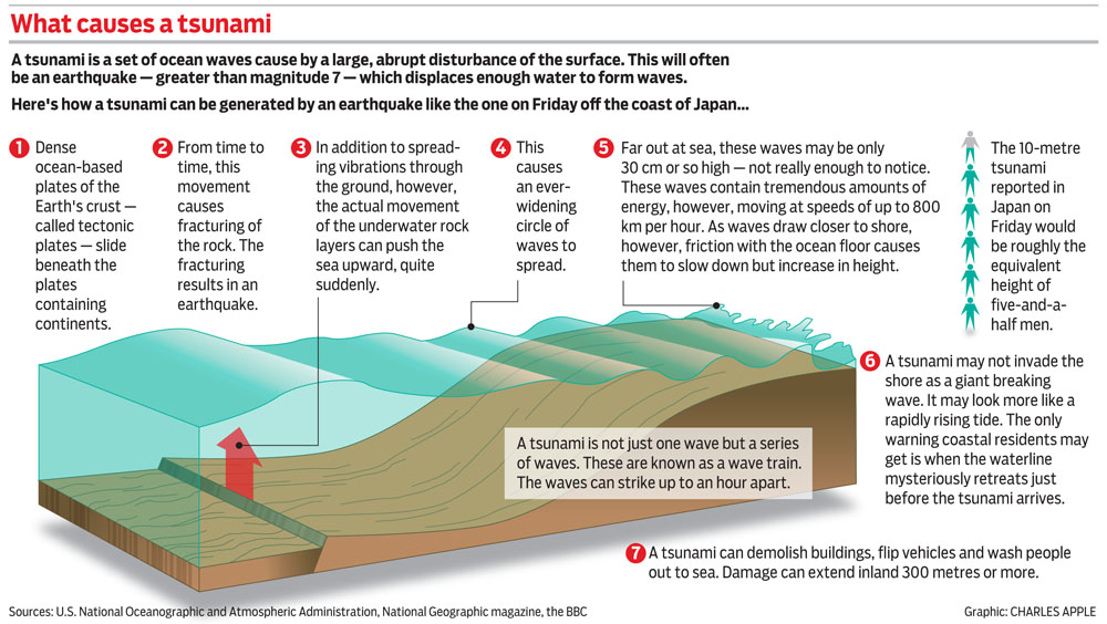 Tsunami team отзывы. What causes a Tsunami. ЦУНАМИ на английском языке. What is a Tsunami. How a Tsunami is formed.